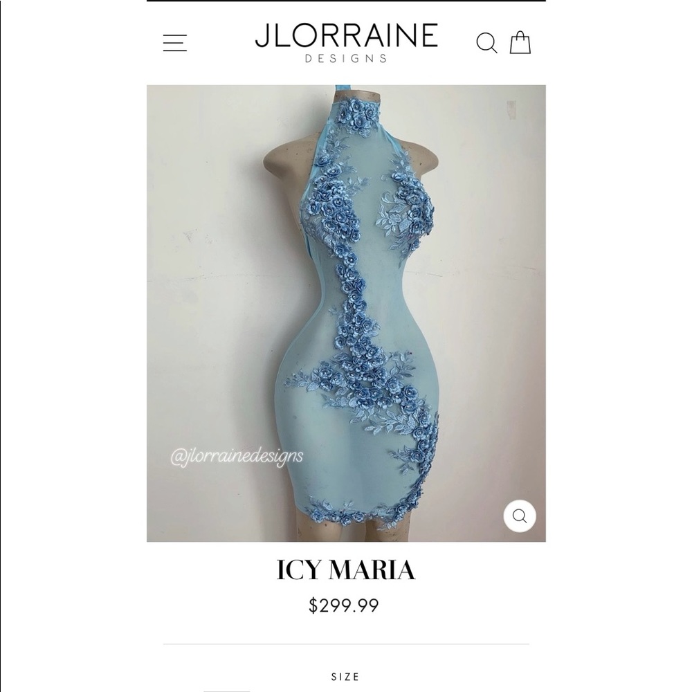 Sexy Mesh Dress with dimensional floral details, WORN ONCE for birthday